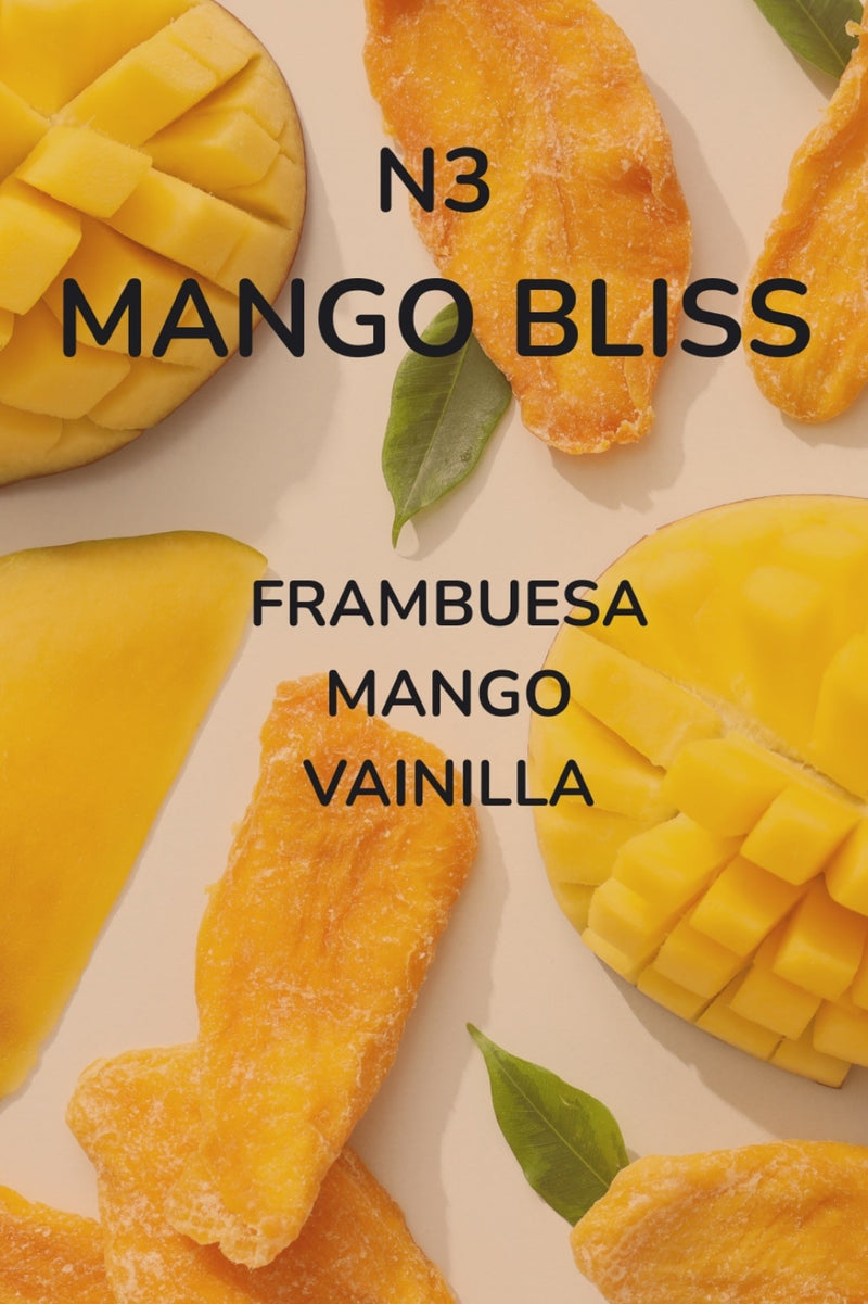 Vela Aromática de Soya Mango Bliss