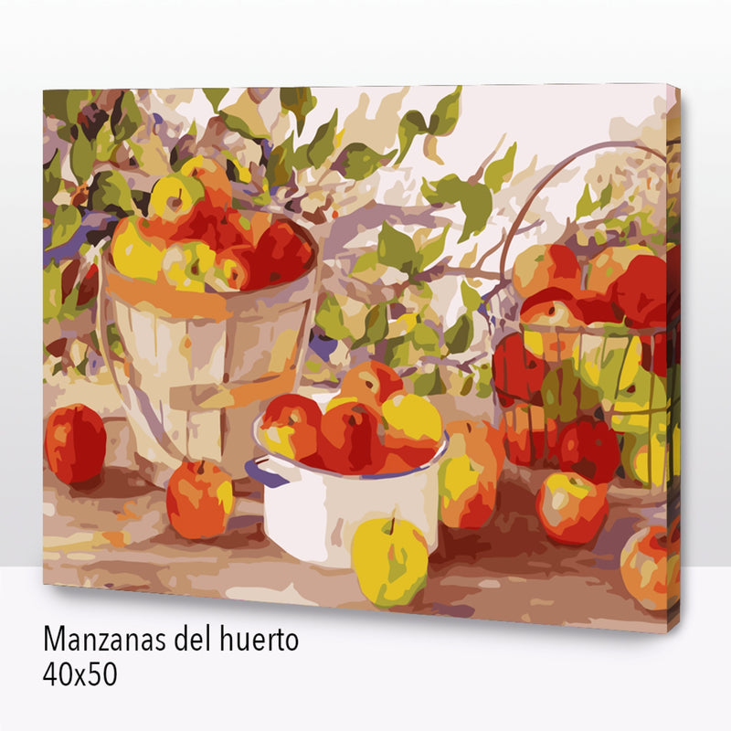 Manzanas del Huerto (40x50 cm)