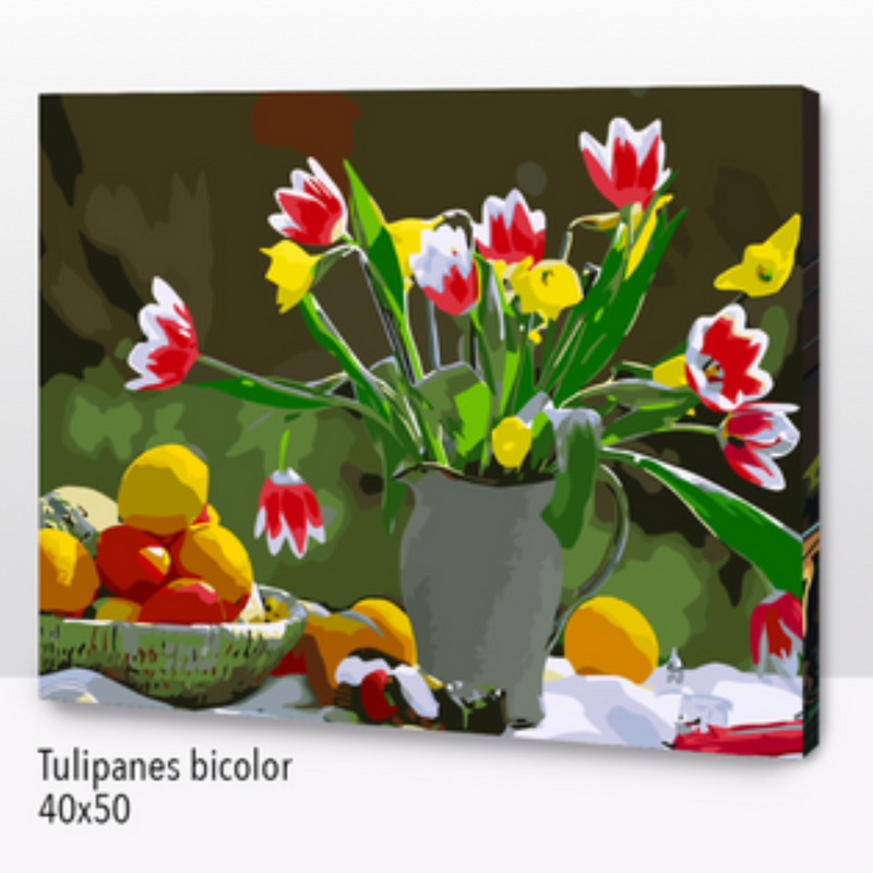Tulipanes Bicolor (40x50 cm)