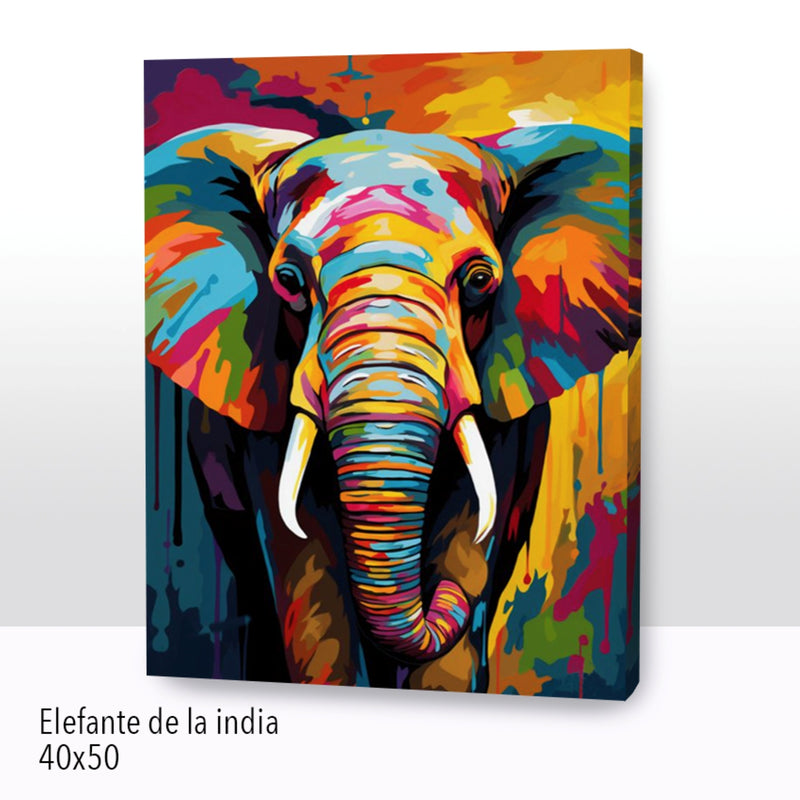 Elefante de la India (40x50 cm)