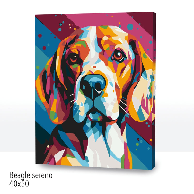 Beagle Sereno (40x50 cm)