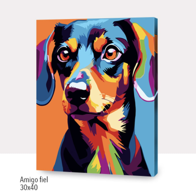 Kit Paint By Numbers Con Bastidor: Amigo Fiel
